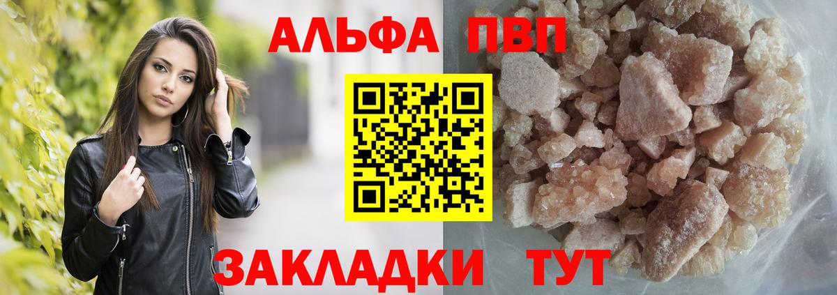 A-PVP СК КРИС Горно-Алтайск
