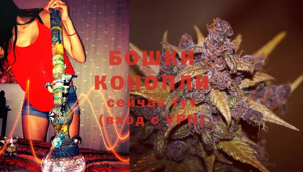 бошки Богородицк