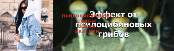 бошки Богородицк