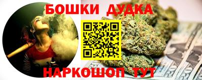гидропоника Можга